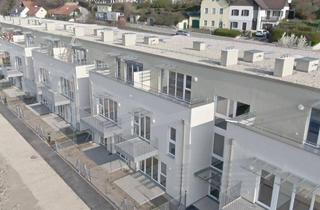 Wohnung mieten in Kreuttalstraße, 2123 Unterolberndorf, Charmante 2-Zimmer-Gartenwohnung mit Terrasse in Unterolberndorf