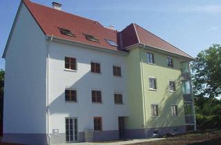 Wohnung mieten in 7361 Lutzmannsburg, Wohnung in Lutzmannsburg