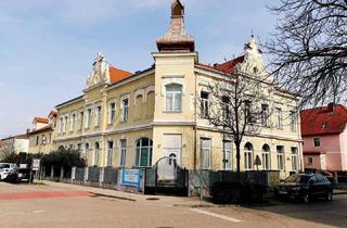 Wohnung mieten in Schulgasse 24, 2514 Möllersdorf, Zwei Zimmerwohnung in Möllersdorf zu vermieten!