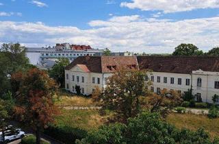 Wohnung mieten in 2500 Baden, Altbaucharme trifft Wohlfühlatmosphäre mit Stil!