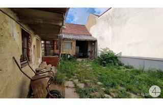Haus kaufen in 3550 Langenlois, Großes Baugrundstück mit Altbestand