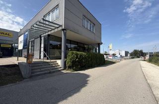 Gewerbeimmobilie kaufen in 4840 Vöcklabruck, Diese Fläche hat Erfolg im Blut.