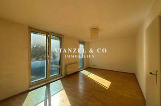 Wohnung mieten in 1130 Wien, MODERNE & SONNIGE GARCONNIERE