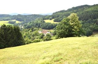 Bauernhäuser zu kaufen in 4391 Waldhausen im Strudengau, RARITÄT: Alleinlage Bauernhof renovierungsbedürftig m. Riesenpotenzial