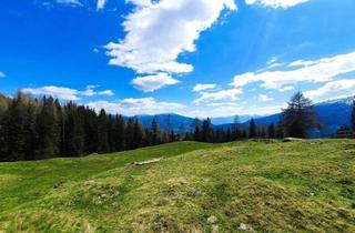 Grundstück zu kaufen in 9854 Maltaberg, Projektchance - Grundstück am Maltaberg mit Tourist. Nutzung/Kärnten