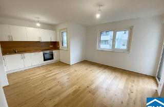 Wohnung mieten in Van-Der-Nüll-Gasse, 1100 Wien, Gemütlicher Wohntraum im 10. Wiener Gemeindebezirk