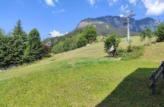Wohnung kaufen in 8982 Tauplitz, Modernes Apartment mit großem Balkon, Sauna und Garage im steirischen Salzkammergut