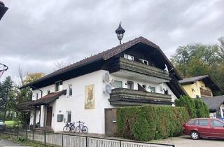 Wohnung mieten in Käferheimerstraße, 5071 Wals, Klein aber mein! pfiffige Garconniere