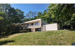 Haus mieten in 2344 Maria Enzersdorf, Villa in Mödlinger Bestlage mit Pool