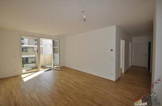 Wohnung mieten in 3100 Sankt Pölten, Ökologisches Wohnen vom Feinsten - Hochwertiger Erstbezug am Fuße des Kremserbergs