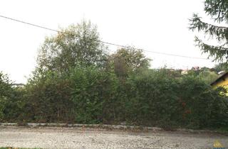 Grundstück zu kaufen in 4493 Wolfern, Baugrundstück in ruhiger Lage in Wolfern – kein Bauzwang, kein Bebauungsplan