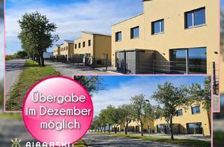 Haus mieten in Mandelallee, 7000 Eisenstadt, AN DER MANDELALLEE - Idyllisches Wohnen in Miete mit Kaufoption | provisionsfrei