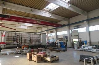 Gewerbeimmobilie kaufen in 4813 Altmünster, A1 - Gmunden - Altmünster Standort mit Hallen sofort Betriebsbereit