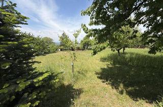 Grundstück zu kaufen in Reiserbauerberg, 4224 Wartberg ob der Aist, Sonniger Baugrund ohne Bauzwang mit Alpenblick in Südhanglage von Wartberg ob der Aist