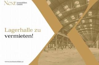 Lager mieten in 4470 Enns, Neubau Lagerhalle in Enns zu Vermieten!