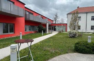 Genossenschaftswohnung in 2351 Wiener Neudorf, Seniorengerechte Wohnung in Wr. Neudorf (Betreutes Wohnen)_3_1