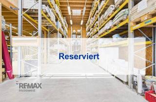 Büro zu mieten in 6850 Dornbirn, Optimal lagern, effizient arbeiten – Ihre Halle wartet!