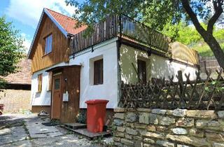 Haus mieten in 3594 Franzen, Natur & Ruhe genießen – Einfamilienhaus am Waldrand in 3594 Nondorf -Terrasse und Garten