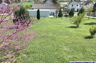 Grundstück zu kaufen in Gruberfeld, 4702 Wallern an der Trattnach, Wunderschönes Baugrundstück mit Baumbestand und Garage