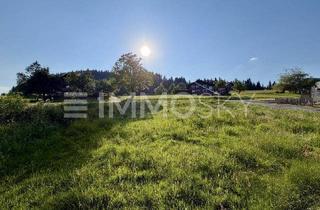 Grundstück zu kaufen in 6861 Alberschwende, Ruhe - Natur und gute Luft