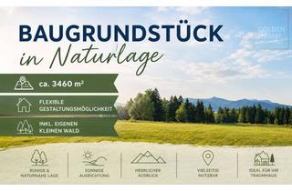 Grundstück zu kaufen in 8113 Sankt Oswald bei Plankenwarth, Baugrundstück mit großem Entwicklungspotenzial