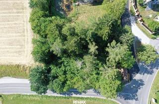 Grundstück zu kaufen in 8044 Weinitzen, Voll aufgeschlossenes Baugrundstück in bester sonniger Lage nahe Graz