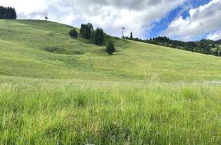 Grundstück zu kaufen in 5754 Hinterglemm, 5754 Hinterglemm: Baugrundstück für Naturliebhaber und Ski-Enthusiasten! 700m² sonniges Baugrundstück, neben der Hochalmbahn in Hinterglemm