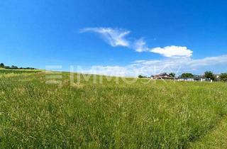Grundstück zu kaufen in 4920 Schildorn, Platz für Ihr Traumhaus: ca. 920 m² Bauland in Schildorn