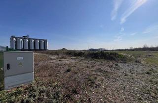 in 2473 Potzneusiedl, Industriegrundstück in 2473 Potzneusiedl, Twin-City-Businesspark, Kauf oder Miete (Provisionsfrei)