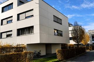 Wohnung mieten in Schöllergasse, 6900 Bregenz, Attraktive 2-Zimmer-Wohnung in Bregenz