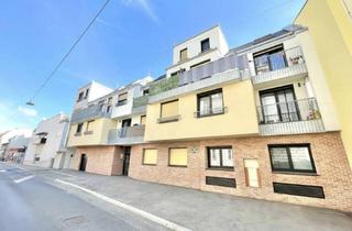 Wohnung mieten in Ziedlergasse, 1230 Wien, WARMMIETE - Goldener Hirsch – Stilvolle 3-Zimmer-Wohnung mit Balkon und TRAUMTERRASSE