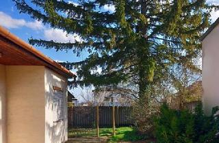 Haus kaufen in 2182 Palterndorf, Charmantes Landhaus mit uneinsichtigem, teils begrüntem Innenhof in Palterndorf!