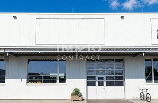 Lager mieten in Gewerbegebiet - Mauer, 3362 Mauer bei Amstetten, Moderne Industriehalle 282M² in Mauer B. Amstetten, Neuwertig, Fußbodenheizung