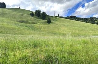 Grundstück zu kaufen in Skilift, 5754 Hinterglemm, 5754 Hinterglemm: Baugrundstück Für Naturliebhaber und Ski-Enthusiasten! 700M² Sonniges Baugrundstück, Neben der Hochalmbahn in Hinterglemm