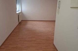 Büro zu mieten in 2201 Gerasdorf, Kleines Büro im 1. Stock in repräsentativer Anlage am Stadtrand