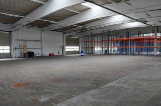 Gewerbeimmobilie kaufen in 2722 Weikersdorf am Steinfelde, Leere Halle für Eigennutzer in Weikersdorf - 8 Minuten entfernt vom Zentrum St. Pölten
