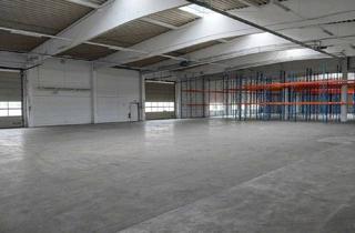 Gewerbeimmobilie kaufen in 2722 Weikersdorf am Steinfelde, Leere Halle für Eigennutzer in Weikersdorf - 8 Minuten entfernt vom Zentrum St. Pölten
