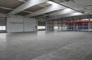 Gewerbeimmobilie kaufen in 2722 Weikersdorf am Steinfelde, Leere Halle für Eigennutzer in Weikersdorf - 8 Minuten entfernt vom Zentrum St. Pölten