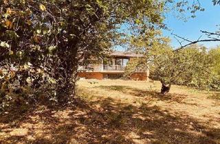 Haus kaufen in 4622 Eggendorf im Traunkreis, Traumhaftes Grundstück mit Projekt!