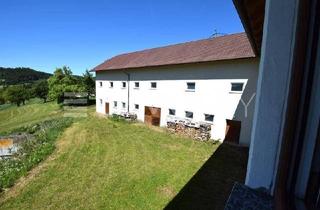 Mehrfamilienhaus kaufen in 4240 Waldburg, Neuwertiger XXL Bauernhof - traumhaft Wohnen, Business u. Vermietung