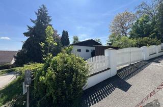 Haus kaufen in 2113 Karnabrunn, Kaufpreis Neu! Einzigartig! Eigentum auf 1010 m² Grund. Ruhelage und Weinkeller