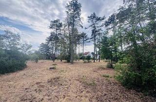 Grundstück zu kaufen in 2230 Gänserndorf, Baugrundstücke mit hervorragendem Preis-Leistungs-Verhältnis – Ideal für Eigenheim oder Investment