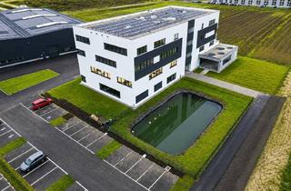 Büro zu mieten in 4481 Asten, ZWEITBEZUG: BÜRO 271 m² / 1. OG / EUR 13,19 INKL. BK | ASTEN A1-ABFAHRT