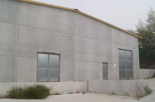 Lager mieten in 2405 Bad Deutsch-Altenburg, 2405 Bad Deutsch-Altenburg Schöne Hallen-Stellplätze Für Wohnwagen und Boote