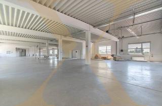 Büro zu mieten in 4060 Leonding, Großzügige Lagerhalle + Büro mit ca. 871m² Nutzfläche und Lastenlift in Leonding zu vermieten!