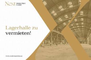 Büro zu mieten in 4470 Enns, Neubau Lagerhalle in Enns zu vermieten!
