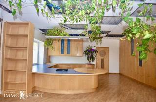 Büro zu mieten in 3374 Säusenstein, ?Effizient - Flexibel & GUT erreichbar.?