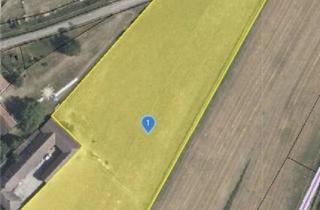 Grundstück zu kaufen in 3562 Schönberg, "10.775 m² Freiheit für Ihre Vision ? Landwirtschaftliches Grundstück in Schönberg am Kamp?