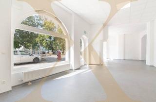 Büro zu mieten in 4020 Linz, PROVISIONSFREI! Neu sanierte Büro-/Geschäftsfläche im Linzer Franckviertel zu vermieten!