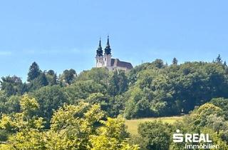 Grundstück zu kaufen in Am Bachlberg, 4040 Linz, Am Bachlberg - Großzügiges Grundstück mit angrenzendem Wald in Bestlage von Urfahr mit idealer Sonnenausrichtung und Weitblick